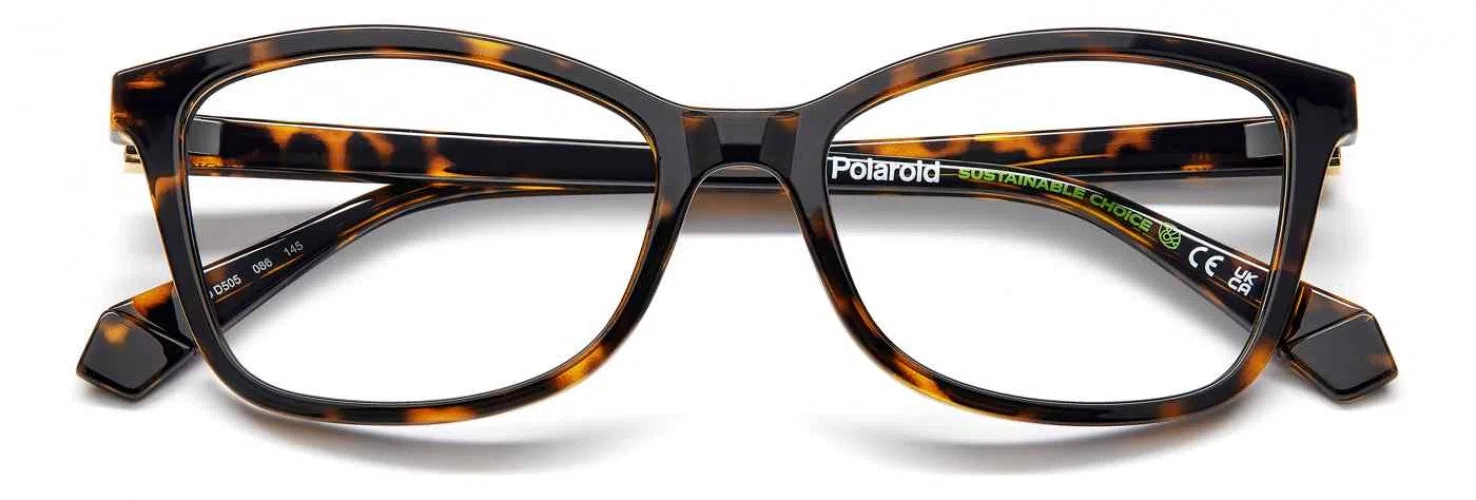 Polaroid Core PLDD505 Eyeglasses - view 6